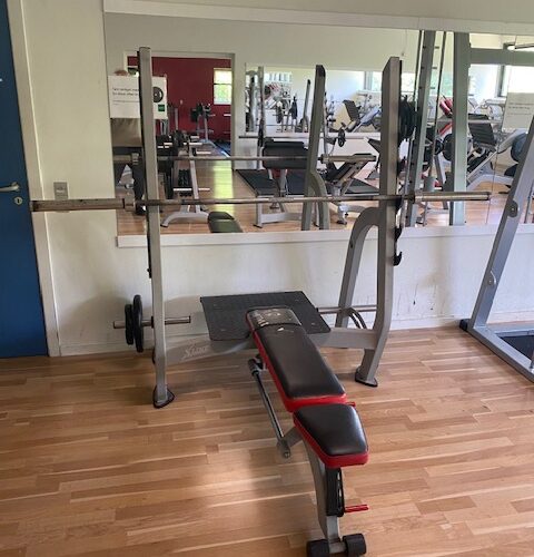 Aletica bench press kr.10800,- ex